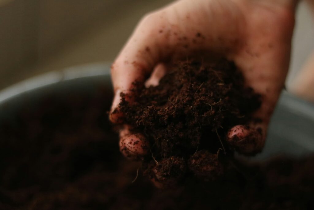 Abono orgánico para plantas