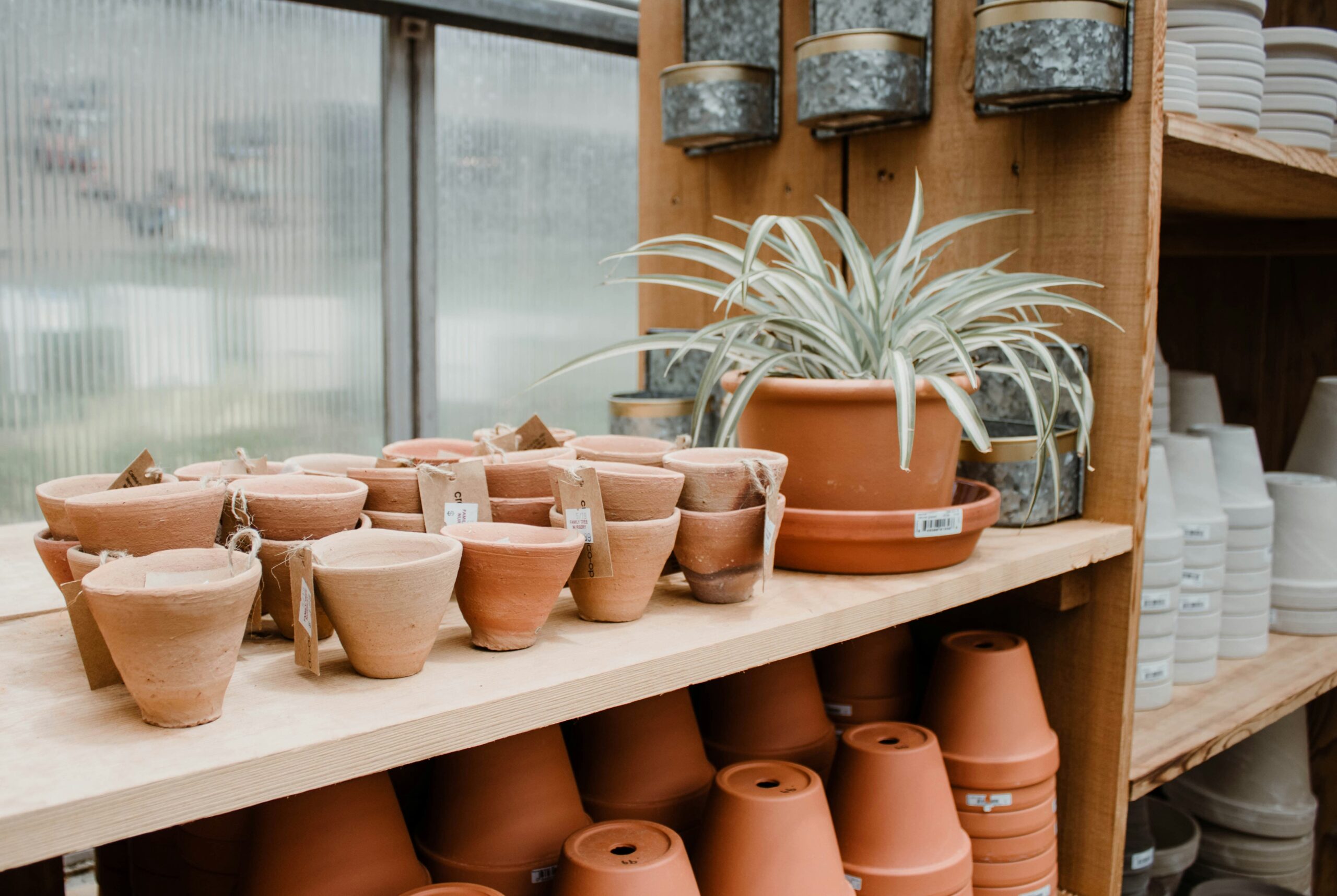macetas para plantas
