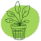 Plantas Para Casas