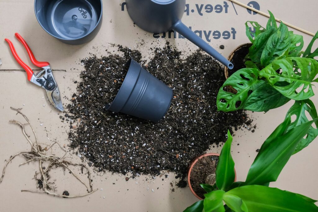 Herramientas básicas para el cuidado de plantas