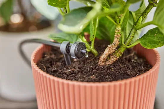 riego por goteo para plantas